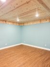 basement 1